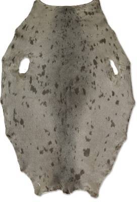 Gr�nlandss�l - Beige - E/Kasserede