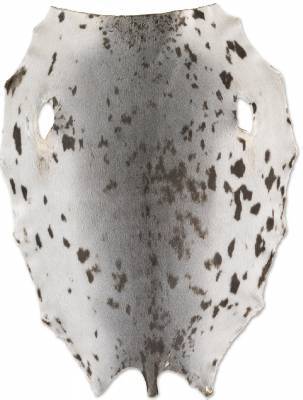 Gr�nlandss�l - Natur - C